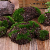 Fairy Garden Decor Set with Lighthouse, Moss, Deer, and Pumpkin Ornaments